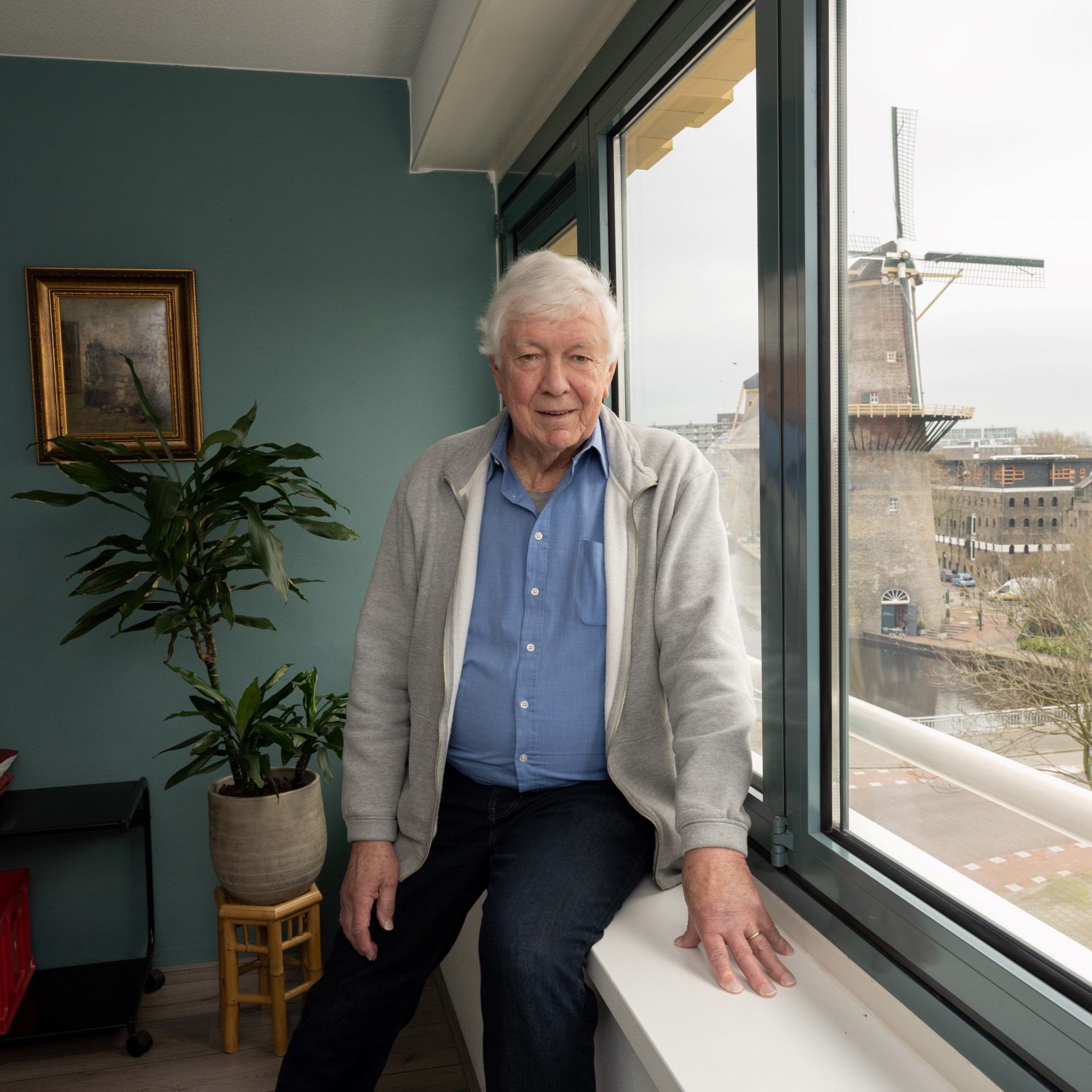 Dhrpeeters Wiltonflat2